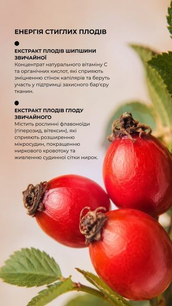 Фітобальзам "Нефробальм" (200 мл) Грін-Віза (Green-Visa) 04/036 фото