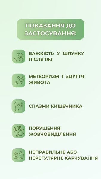 Капсули для покращення травлення (120 капс.) Грін-Віза (Green-Visa) 00/005 фото