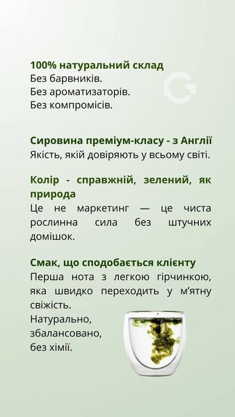 Хлорофіл з екстрактом м'яти (250 мл) Грін-Віза (Green-Visa) 13/004 фото