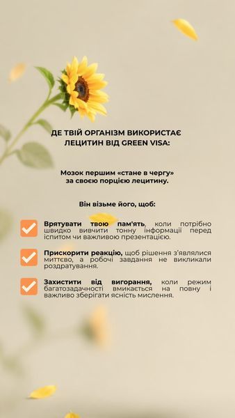 Лецитин (90 капс.) Грін-Віза (Green-Visa) 01/020 фото
