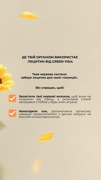 Лецитин (90 капс.) Грін-Віза (Green-Visa) 01/020 фото