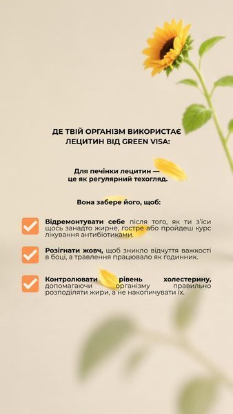 Лецитин (90 капс.) Грін-Віза (Green-Visa) 01/020 фото