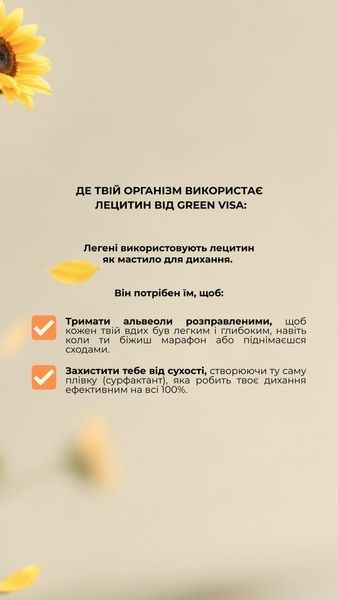 Лецитин (90 капс.) Грін-Віза (Green-Visa) 01/020 фото