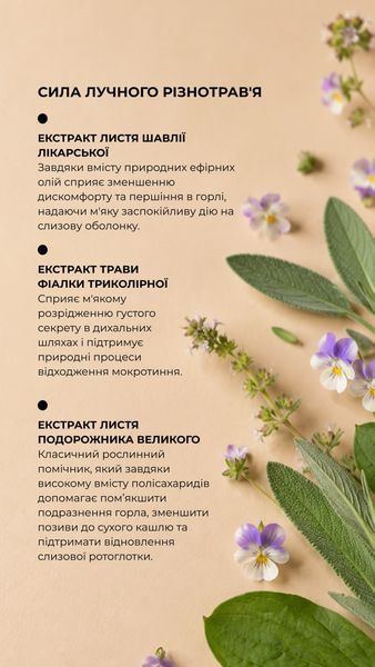 Фитобальзам "Бронхолегочный" (200 мл) Грин-Виза (Green-Visa) 04/003 фото