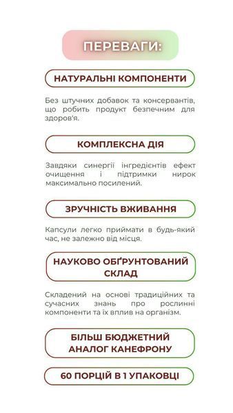 Детокс нирок (120 капс.) Грін-Віза (Green-Visa) 00/003 фото