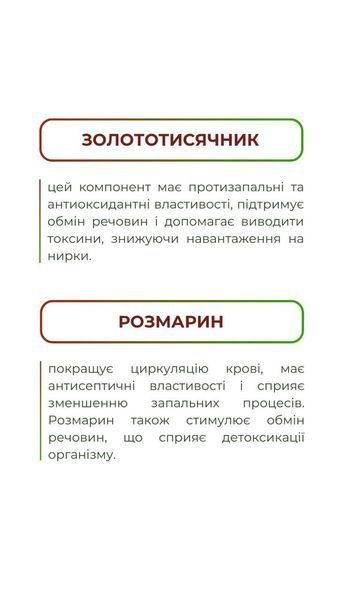 Детокс нирок (120 капс.) Грін-Віза (Green-Visa) 00/003 фото