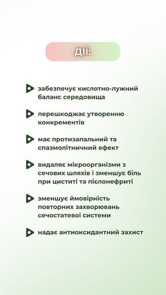 Детокс нирок (120 капс.) Грін-Віза (Green-Visa) 00/003 фото