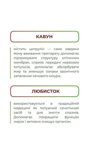 Детокс нирок (120 капс.) Грін-Віза (Green-Visa) 00/003 фото