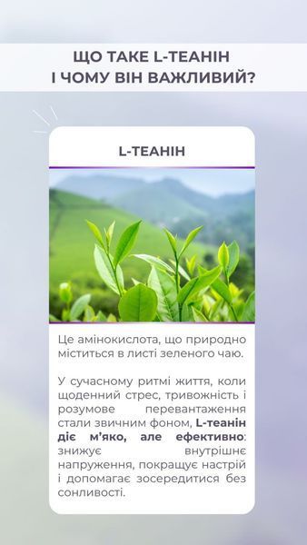 L-theanin (L-теанін) (60 капс.) Грін-Віза (Green-Visa) 01/219 фото