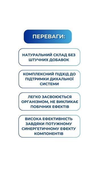Бронхонорм (60 табл.) Грин-Виза (Green-Visa) 02/002 фото