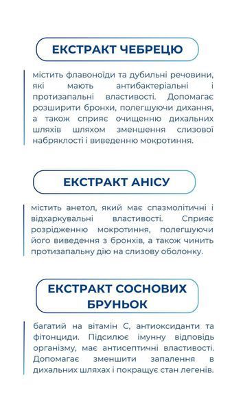 Бронхонорм (60 табл.) Грин-Виза (Green-Visa) 02/002 фото