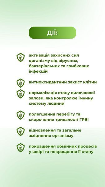 Імуногрін (60 капс.) Грін-Віза (Green-Visa) 01/012 фото