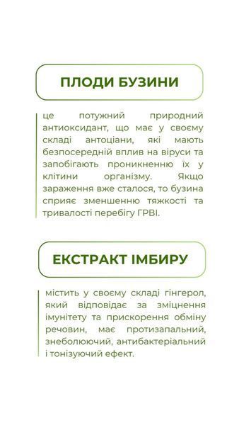 Імуногрін (60 капс.) Грін-Віза (Green-Visa) 01/012 фото